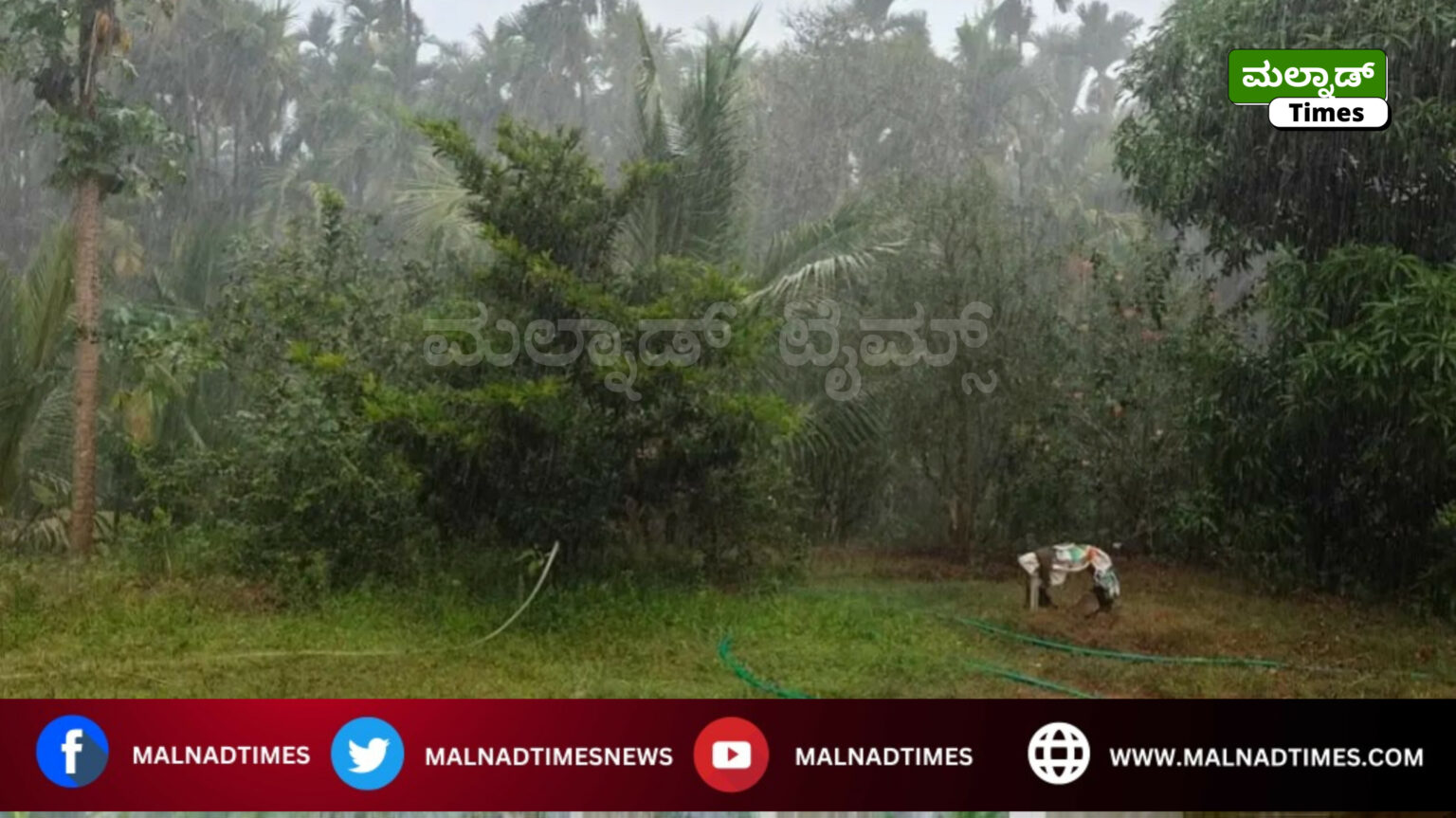 Karnataka Rain