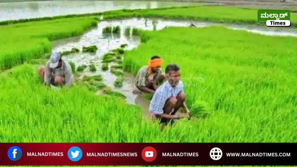 Pradhan Mantri Fasal Bima Yojana