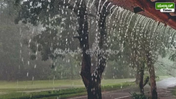ಶಿವಮೊಗ್ಗ ಮತ್ತು ಚಿಕ್ಕಮಗಳೂರು ಜಿಲ್ಲೆಯ ಕೆಲ ಪ್ರದೇಶದಲ್ಲಿ ದಾಖಲಾದ ಮಳೆ ವಿವರ