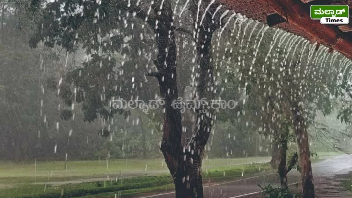 ಶಿವಮೊಗ್ಗ ಮತ್ತು ಚಿಕ್ಕಮಗಳೂರು ಜಿಲ್ಲೆಯ ಕೆಲ ಪ್ರದೇಶದಲ್ಲಿ ದಾಖಲಾದ ಮಳೆ ವಿವರ