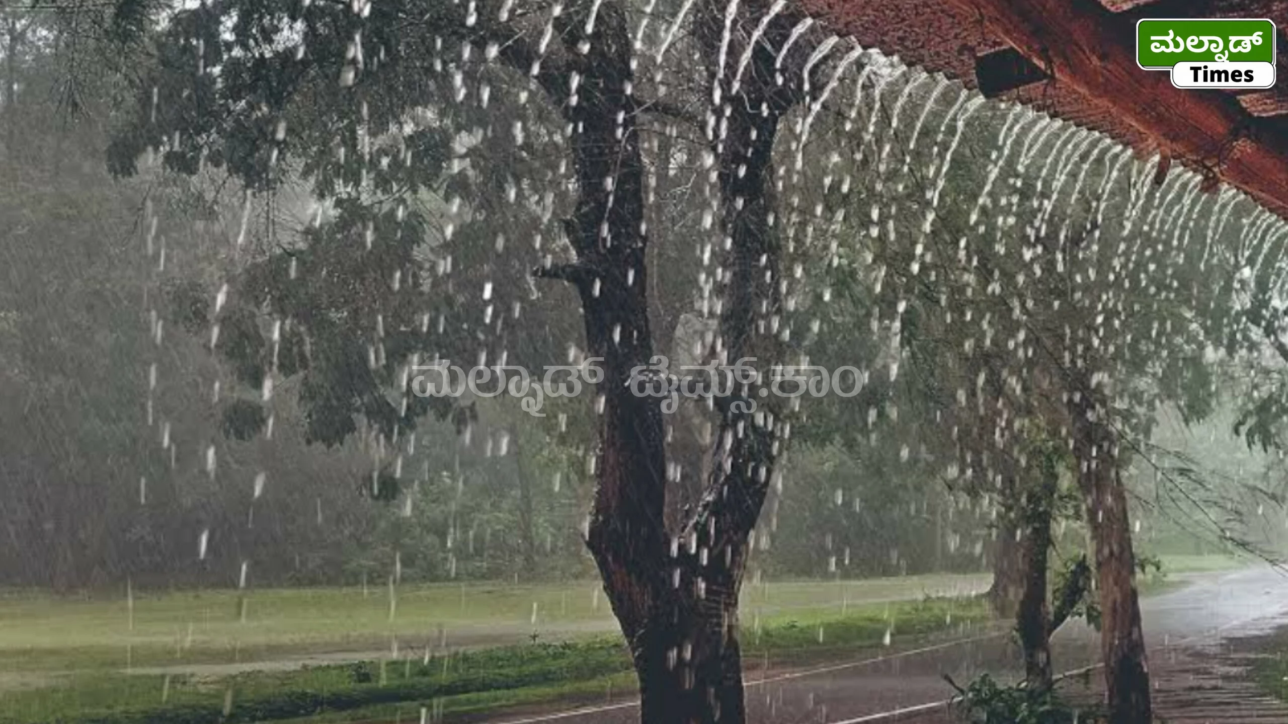 ಶಿವಮೊಗ್ಗ ಮತ್ತು ಚಿಕ್ಕಮಗಳೂರು ಜಿಲ್ಲೆಯ ಕೆಲ ಪ್ರದೇಶದಲ್ಲಿ ದಾಖಲಾದ ಮಳೆ ವಿವರ – InShot 20260731 081720140