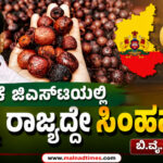 ಅಡಿಕೆ ಜಿಎಸ್ಟಿ ಸಂಗ್ರಹದಲ್ಲಿ ಕರ್ನಾಟಕದ ಸಿಂಹಪಾಲು: ಸಂಸದ ರಾಘವೇಂದ್ರ ಪ್ರಶ್ನೆಗೆ ಕೇಂದ್ರದ ಮಾಹಿತಿ – InShot 20260811 185211664