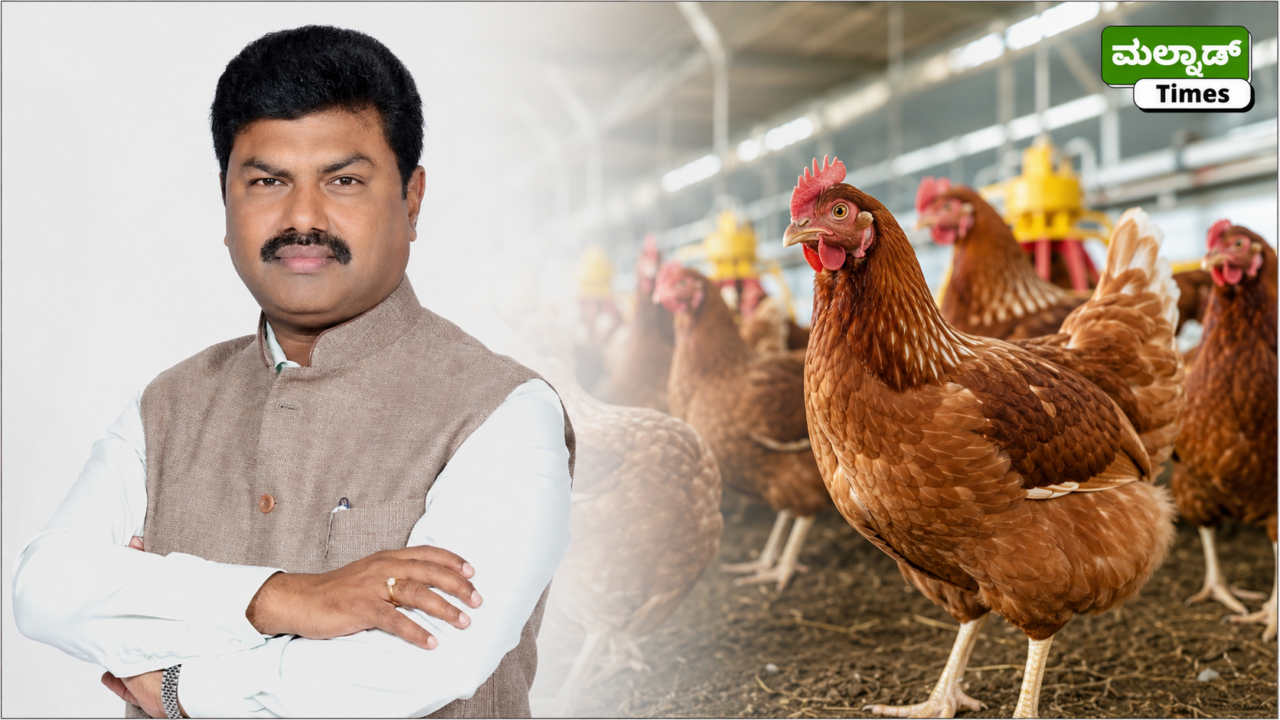 ಬಡ ಕುಟುಂಬಗಳಿಗೆ ನಾಟಿ ಕೋಳಿ ಕೊಡುಗೆ: ಬಿ.ವೈ. ರಾಘವೇಂದ್ರ ಜನ್ಮದಿನಕ್ಕೆ ವಿನೂತನ ಕಾರ್ಯಕ್ರಮ – byr