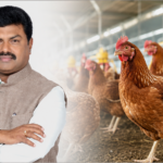 ಬಡ ಕುಟುಂಬಗಳಿಗೆ ನಾಟಿ ಕೋಳಿ ಕೊಡುಗೆ: ಬಿ.ವೈ. ರಾಘವೇಂದ್ರ ಜನ್ಮದಿನಕ್ಕೆ ವಿನೂತನ ಕಾರ್ಯಕ್ರಮ – byr