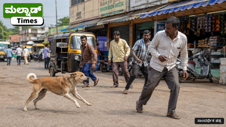 ಶಿವಮೊಗ್ಗ ಆಟೊ ಕಾಂಪ್ಲೆಕ್ಸ್‌ನಲ್ಲಿ ಬೀದಿ ನಾಯಿ ದಾಳಿ: 10ಕ್ಕೂ ಹೆಚ್ಚು ಜನರಿಗೆ ಗಾಯ – dog bite