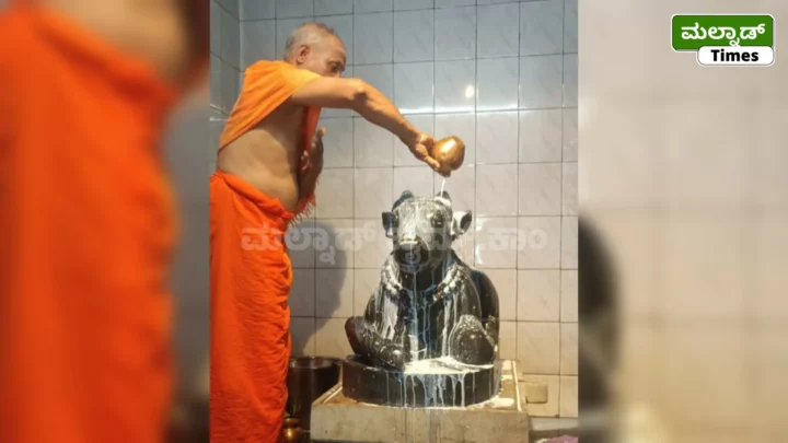 ಮಳೆಗಾಗಿ ಕೊಳವಂಕ ಬಸವಣ್ಣನಿಗೆ ವಿಶೇಷ ಪೂಜೆ Kolavanka