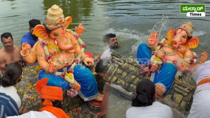 ಹೊಸನಗರದಲ್ಲಿ ಅದ್ಧೂರಿಯಾಗಿ ಸಂಪನ್ನಗೊಂಡ ಗಣಪತಿ ವಿಸರ್ಜನಾ ಶೋಭಾಯಾತ್ರೆ HMS