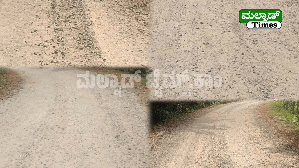 ರಸ್ತೆ ಕಿತ್ತು ಹಾಕಿ 6 ತಿಂಗಳು ಕಳೆದರೂ ಪೂರ್ಣವಾಗದ ಕಾಮಗಾರಿ Road work