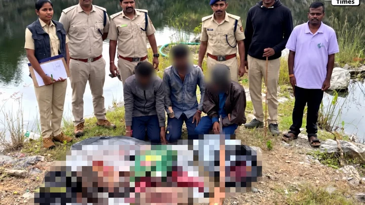 ಕಡವೆ ಬೇಟೆ ಪ್ರಕರಣ: ಅರಣ್ಯಾಧಿಕಾರಿಗಳ ದಾಳಿ, ಮೂವರು ಬಂಧನ – kadve