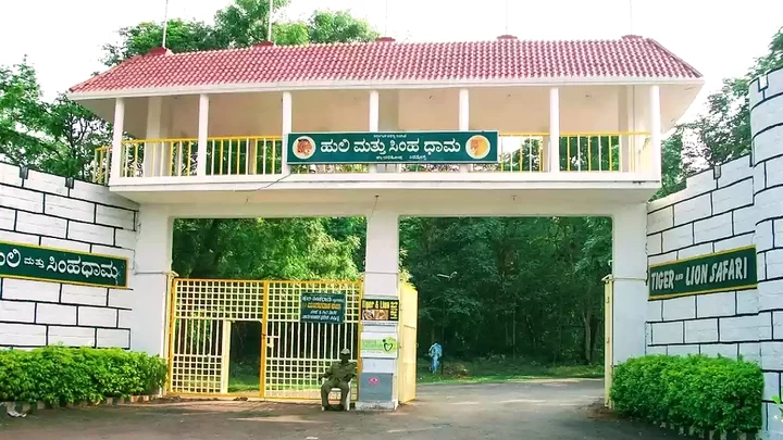 ತ್ಯಾವರೆಕೊಪ್ಪ ಹುಲಿ ಮತ್ತು ಸಿಂಹಧಾಮದಲ್ಲಿ ನಾಲ್ಕು ನವಜಾತ ಸಿಂಹದ ಮರಿಗಳು ಸಾವು; ಕಾರಣವೇನು? – tyavarekoppa closeup 1200×675