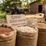 Fooder Seeds