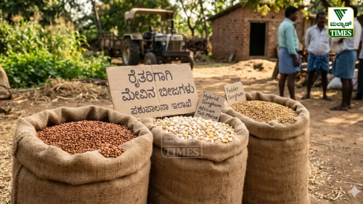 Fooder Seeds