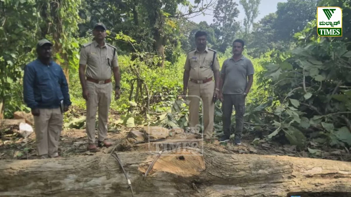 Forest Department RPT