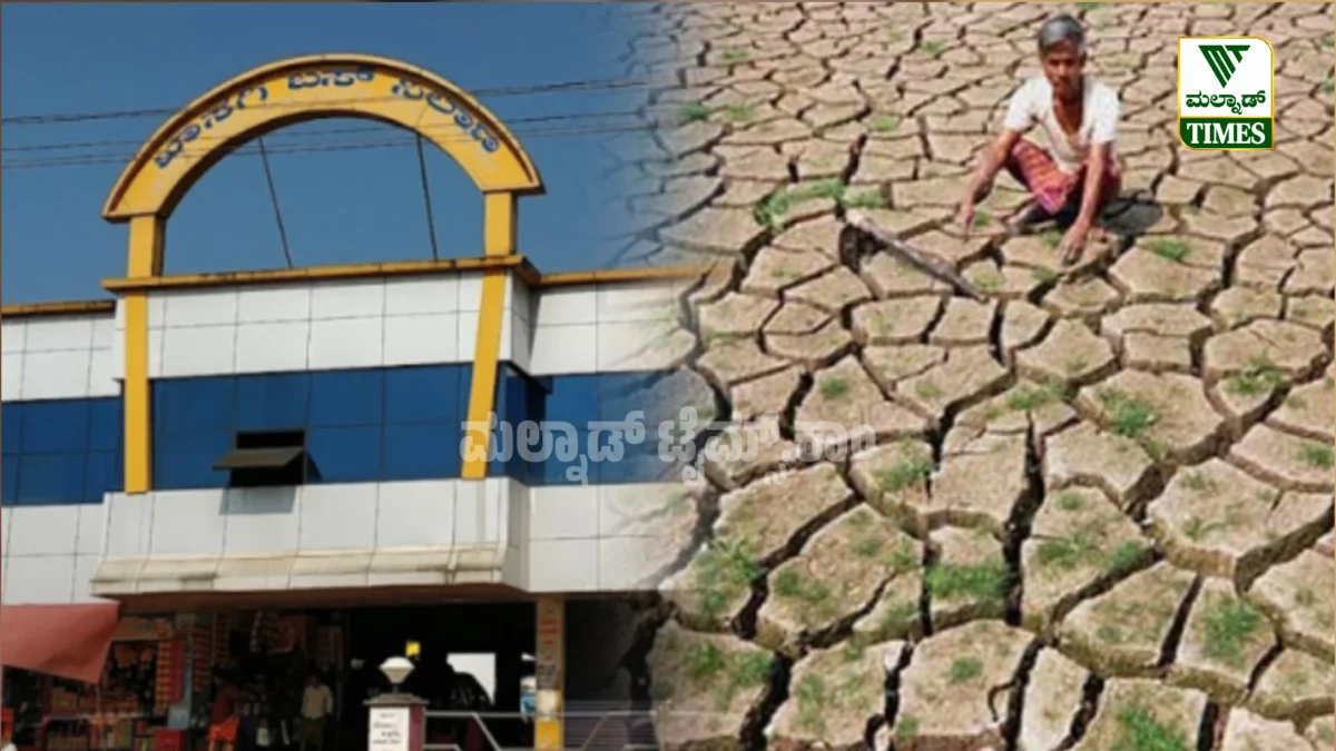 ಮಲೆನಾಡಿನ ನಡುಮನೆ ಹೊಸನಗರದಲ್ಲಿ ಬರದ ಛಾಯೆ Drought