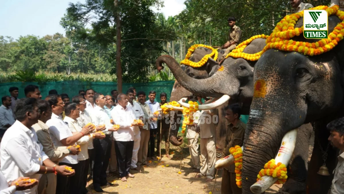 ಸಕ್ರೆಬೈಲಿನಲ್ಲಿ ಗಜಪಡೆಗೆ ಶಾಸಕ ಎಸ್.ಎನ್. ಚನ್ನಬಸಪ್ಪರಿಂದ ಭವ್ಯ ಸ್ವಾಗತ Dasara