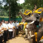 ಸಕ್ರೆಬೈಲಿನಲ್ಲಿ ಗಜಪಡೆಗೆ ಶಾಸಕ ಎಸ್.ಎನ್. ಚನ್ನಬಸಪ್ಪರಿಂದ ಭವ್ಯ ಸ್ವಾಗತ Dasara