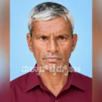 Farmer dies in giant honeybee attack