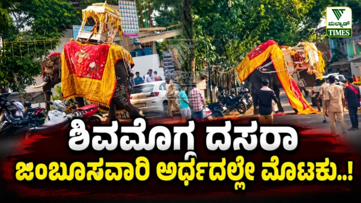 Shivamogga Dasara Elephant