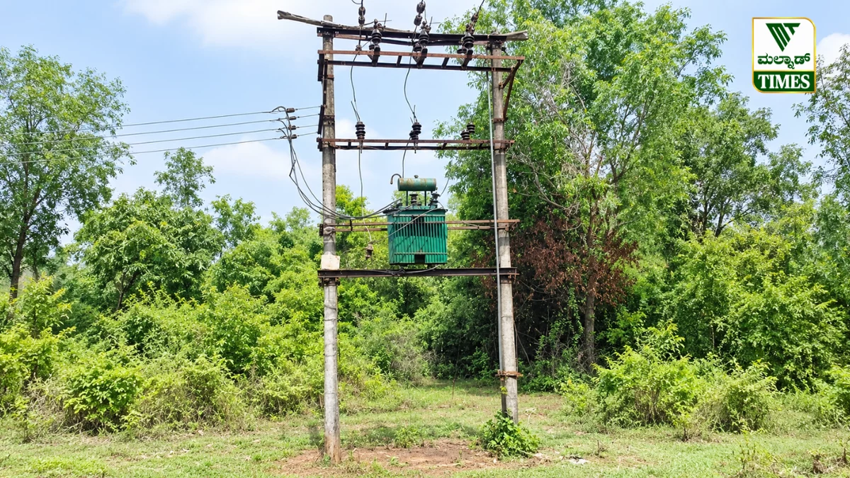ಶಿವಮೊಗ್ಗ: ಕೃಷಿ ಪಂಪ್‌ಸೆಟ್‌ಗೆ ವಿದ್ಯುತ್ ಸಂಪರ್ಕ ಪಡೆಯಲು ಅರ್ಜಿ ಆಹ್ವಾನ; ನ.6ರೊಳಗೆ ಸಲ್ಲಿಸಿ – transdf